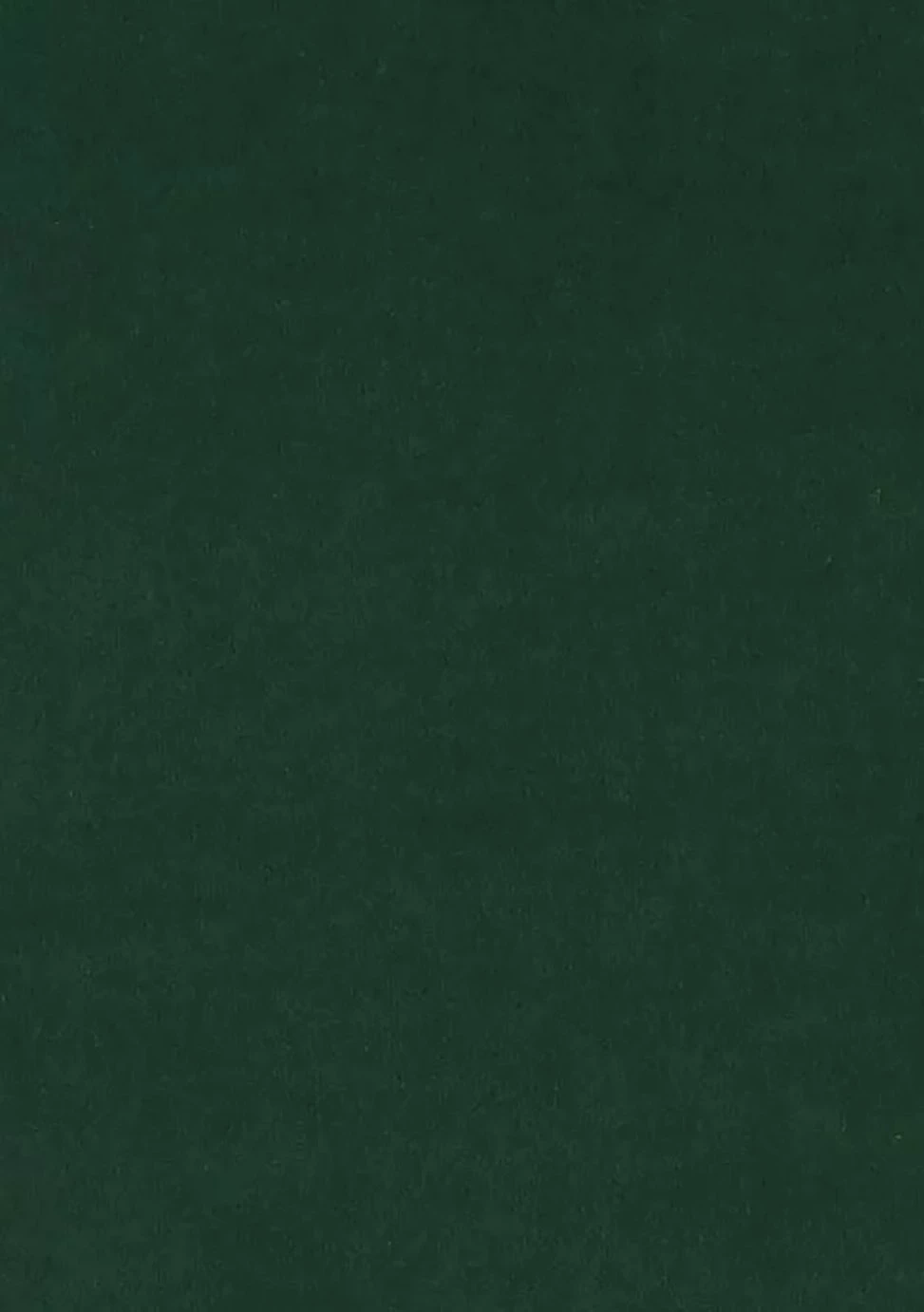 Shipping Included - Habitat Chesterfield Velvet Armchair Green Armchairs 8 Shipping Included - Habitat Chesterfield Velvet Armchair Green Armchairs - Image 8